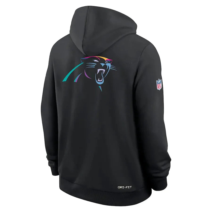 Carolina Panthers Nike Black 2025 NFL Crucial Catch Sideline Standard Issue Dri-FIT Hoodie Jacket99