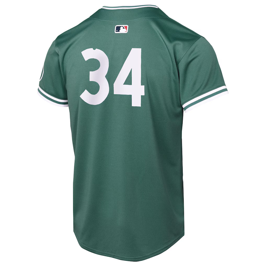 Youth Boston Red Sox David Ortiz Nike Green 2025 City Connect Limited Retired Player Jersey